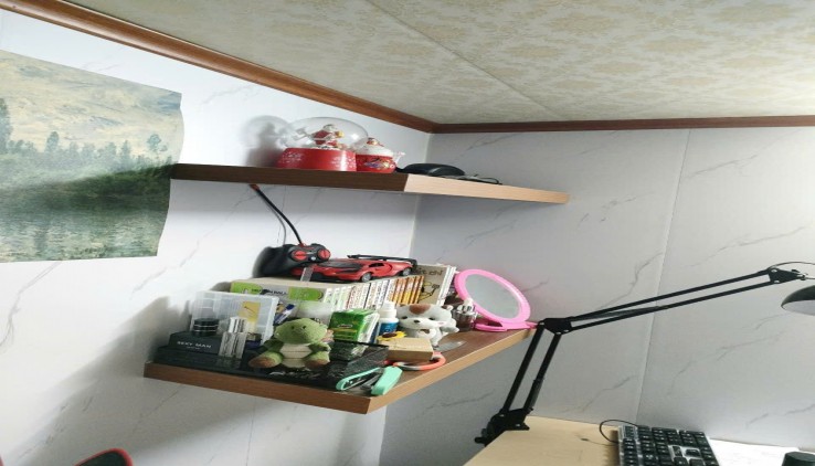 Mình cần bán CCMN Long Biên 45m2, 2 ngủ, 1 WC, 749 triệu (gia lộc nhẹ)